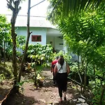 Peno Coffee House