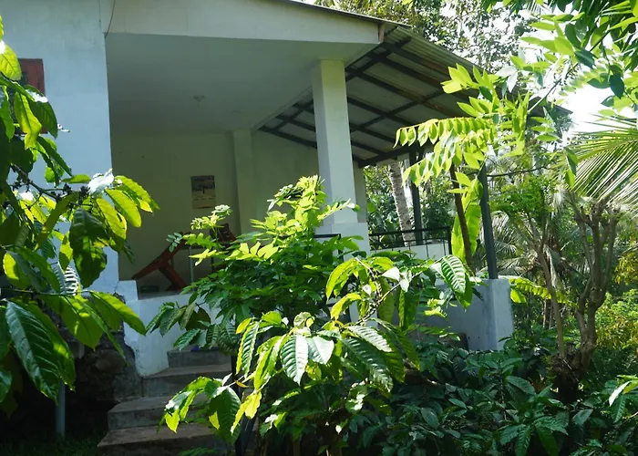 Peno Coffee House