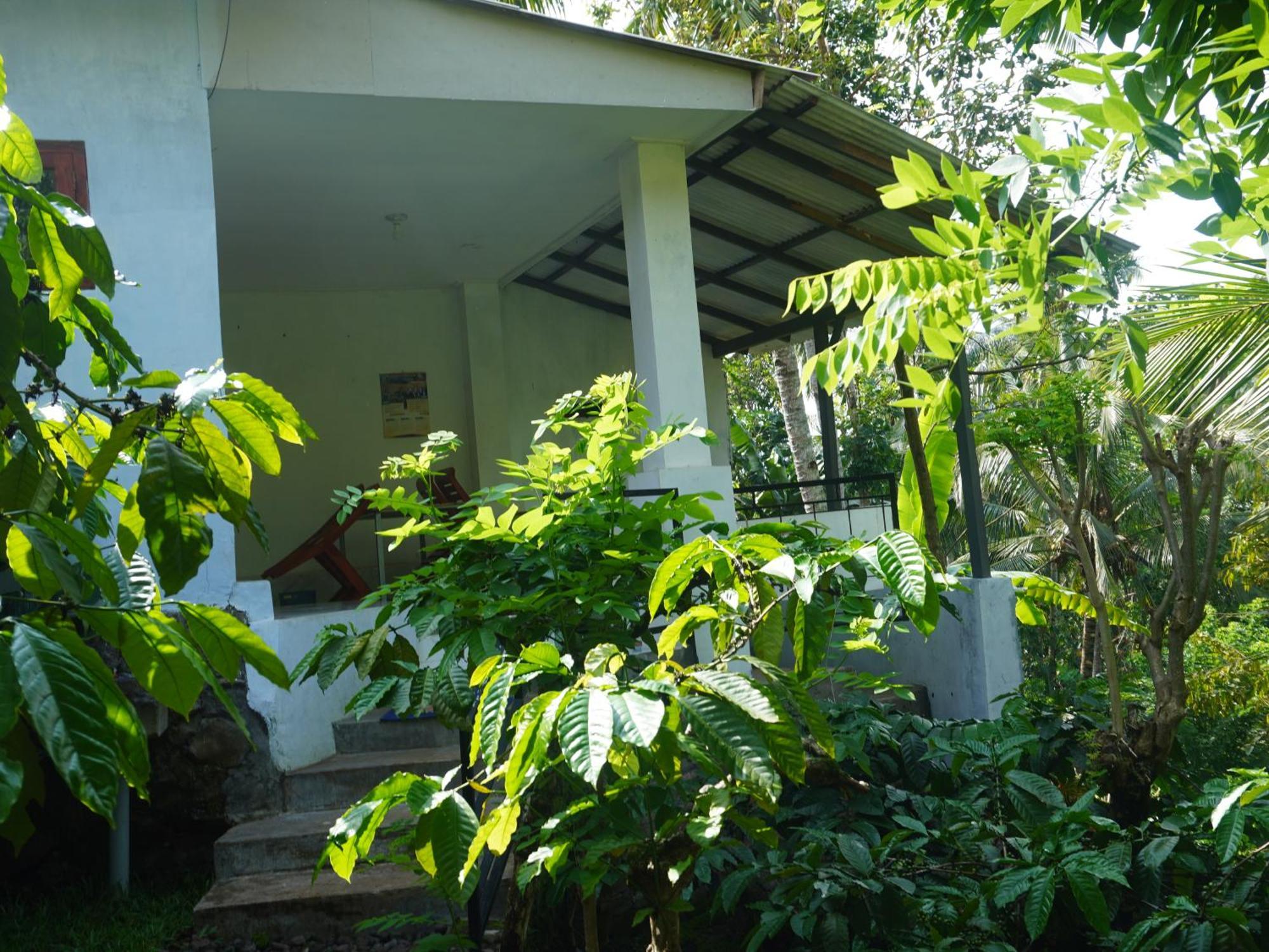 Peno Coffee House Rumah pedesaan
